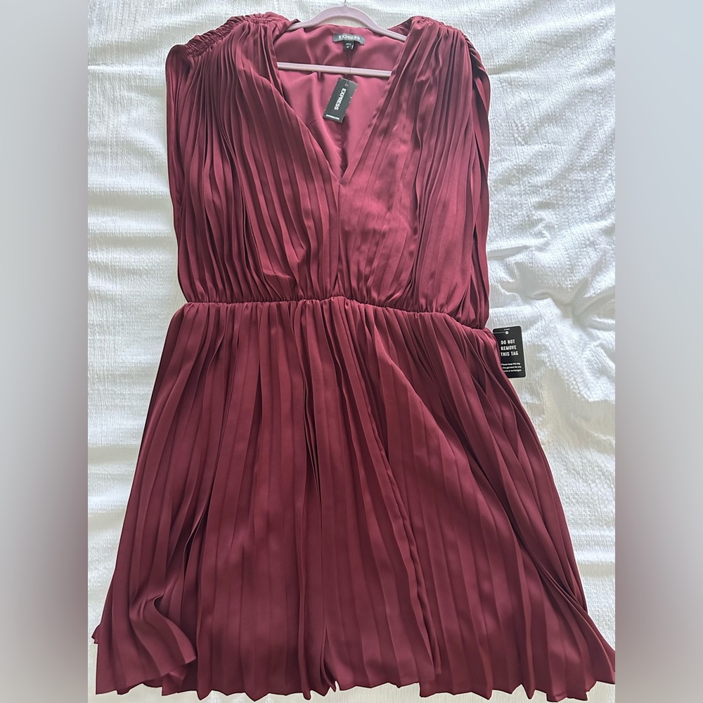 Express Pleated Mini Dress